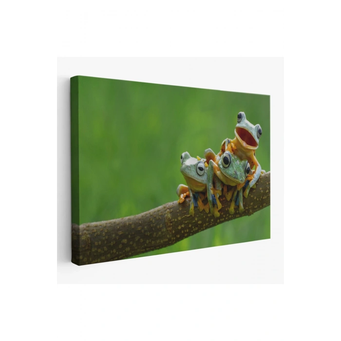 Küçük Kurbağalar Dekoratif Kanvas Tablo 1179