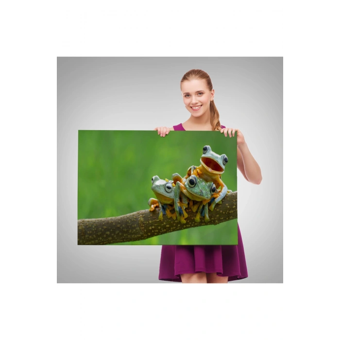 Küçük Kurbağalar Dekoratif Kanvas Tablo 1179
