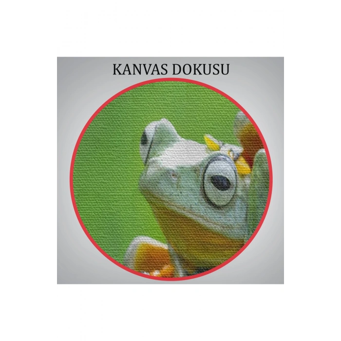 Küçük Kurbağalar Dekoratif Kanvas Tablo 1179