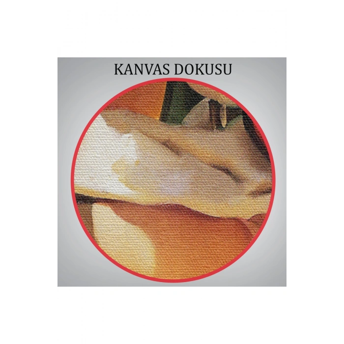 Kupa Kızı Kazanan Kız Tablosu  - Trophy Girl  A Winner-6456