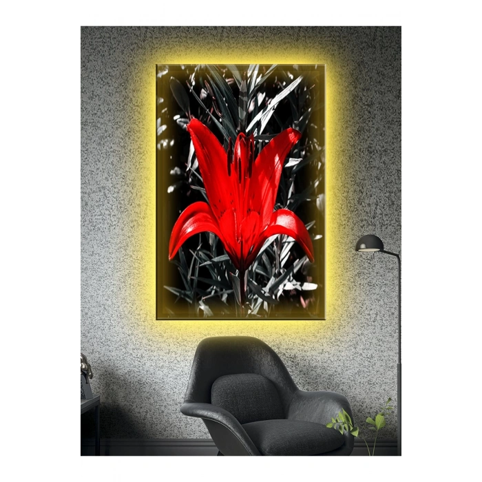 Led Işıklı Siyah Kırmızı Çiçek Kanvas Tablo