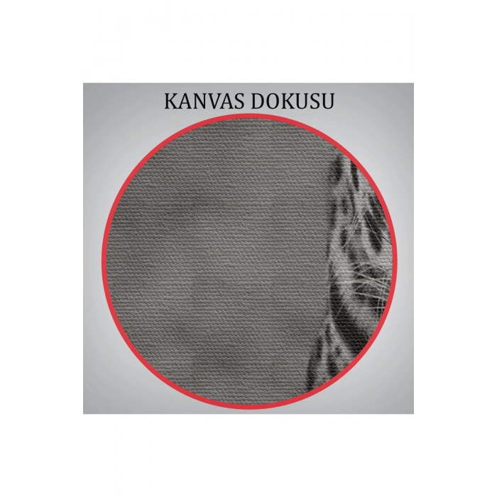 Mavi Gözlü Leopar Dekoratif Kanvas Tablo 1162