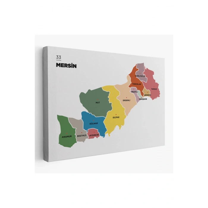 Mersin İli ve İlçeler Haritası  Dekoratif Kanvas Tablo 1419