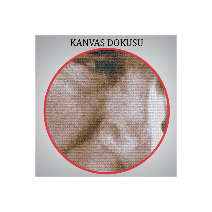 Mustafa Kemal Atatürk Duvar Tablosu -6446