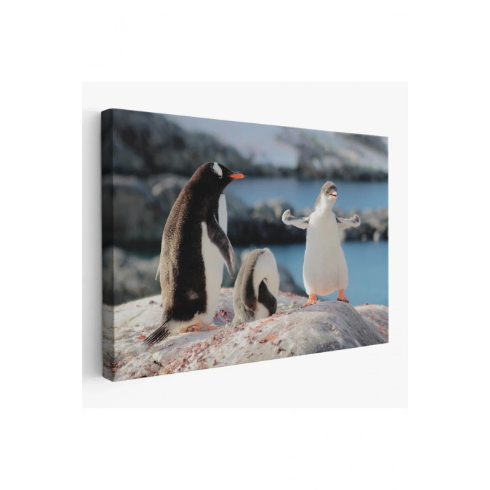 Mutlu Penguenler Dekoratif Kanvas Tablo 1172