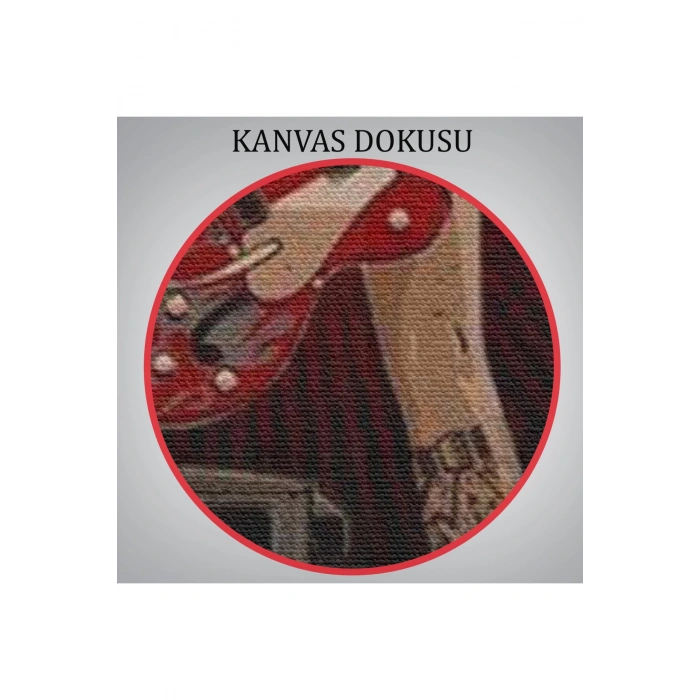 Müzisyen Kadın  Dekoratif Duvar Tablosu-6496