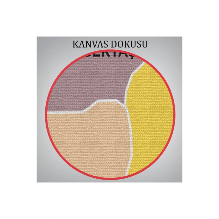 Nevşehir İli ve İlçeler Haritası  Dekoratif Kanvas Tablo 1428