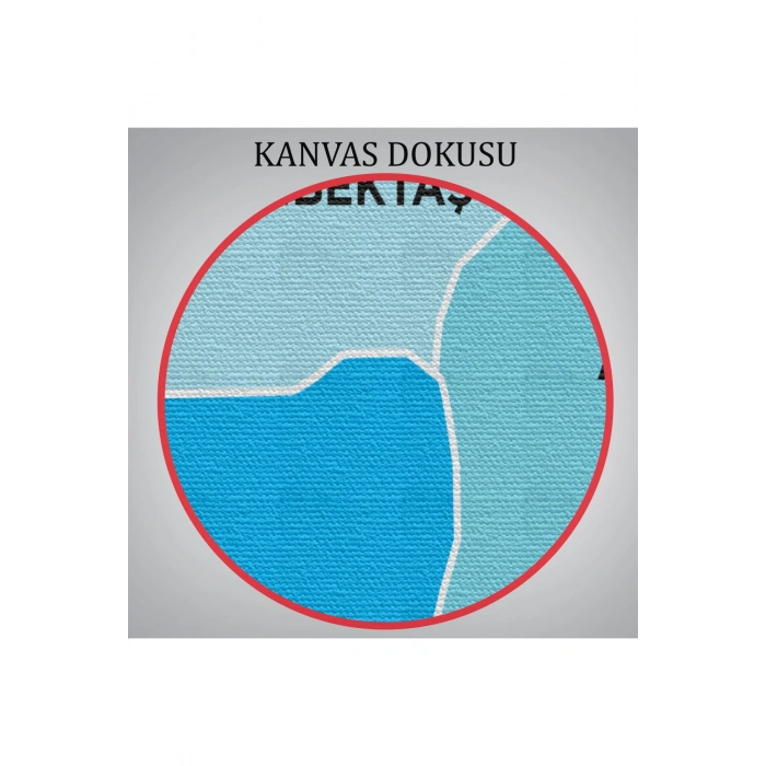 Nevşehir İli ve İlçeler Haritası  Dekoratif Kanvas Tablo 1429