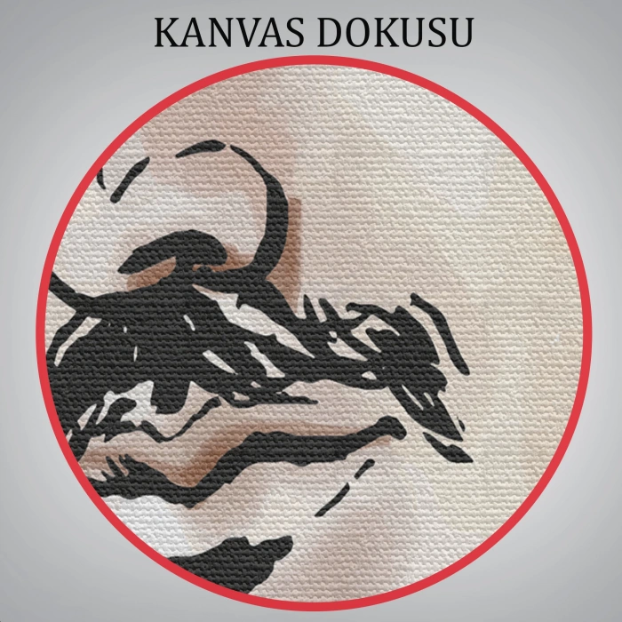 Nikola Tesla Dekoratif Kanvas Tablo-5917