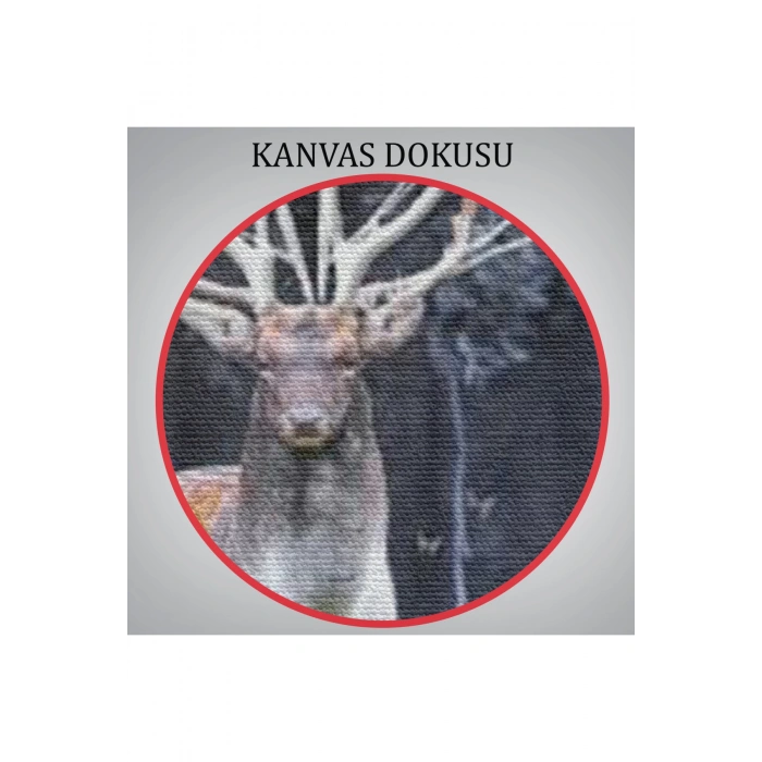 Ormandaki Geyik Tablosu-6566