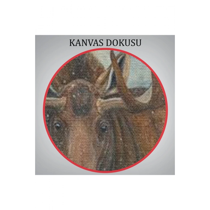 Ormandaki Geyik Tablosu-6644