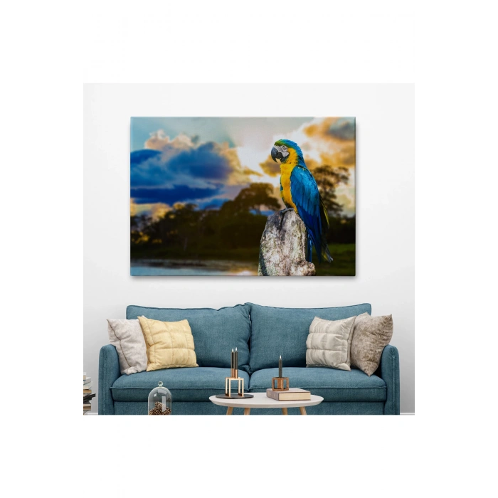 Papağan Dekoratif Kanvas Tablo 1123