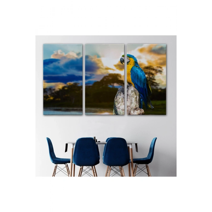 Papağan Dekoratif Kanvas Tablo 1123