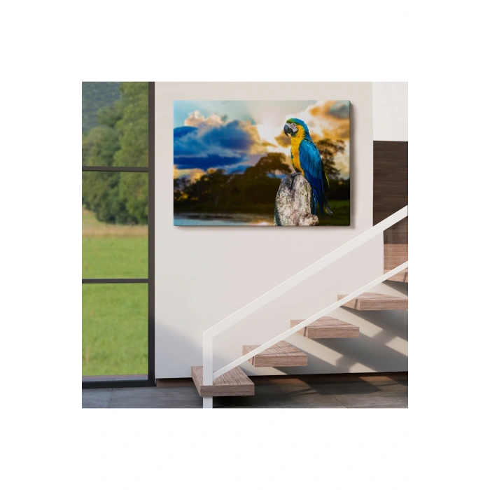 Papağan Dekoratif Kanvas Tablo 1123