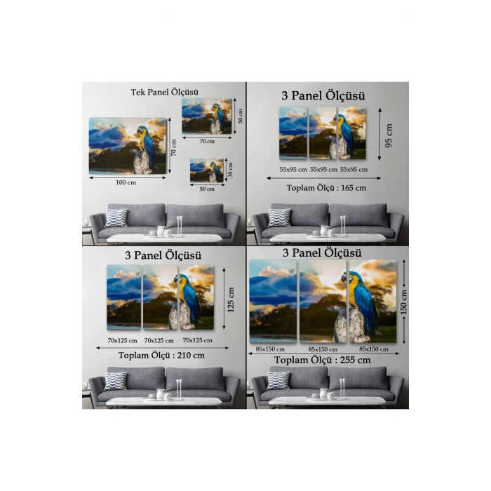 Papağan Dekoratif Kanvas Tablo 1123