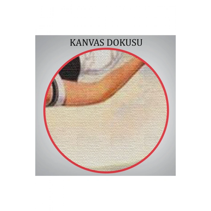 Papatya Tarkası Üzerındeki Mutlu Kadın Duvar Tablosu-6274