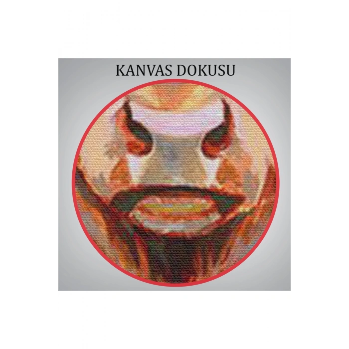 Pembe Ceketli Boğa Duvar Tablosu-6350