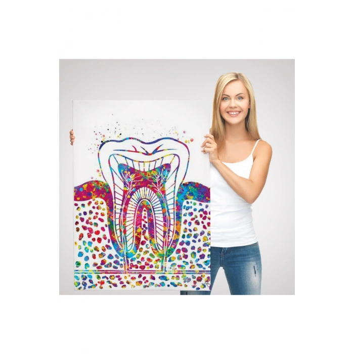 Renkli Diş, Diş Hekimi Duvar Tablosu-6300