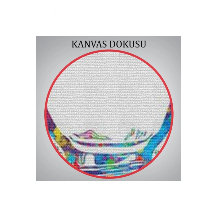 Renkli Dişler İmplant Diş Hekimi Tablo-6565