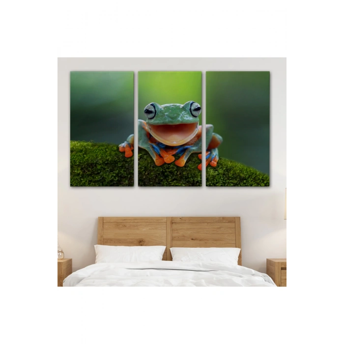 Renkli Gülen Kurbağa Dekoratif Kanvas Tablo 1149