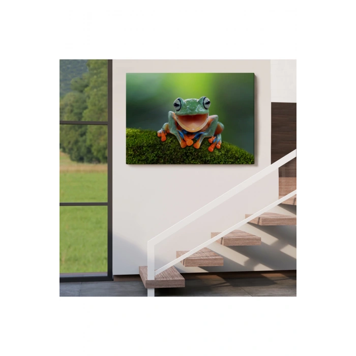 Renkli Gülen Kurbağa Dekoratif Kanvas Tablo 1149