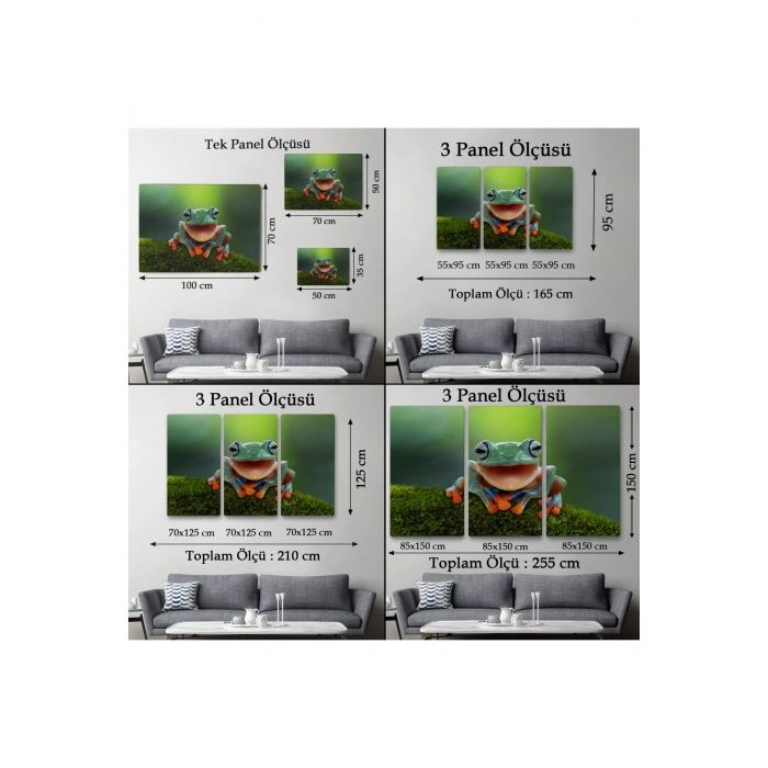 Renkli Gülen Kurbağa Dekoratif Kanvas Tablo 1149