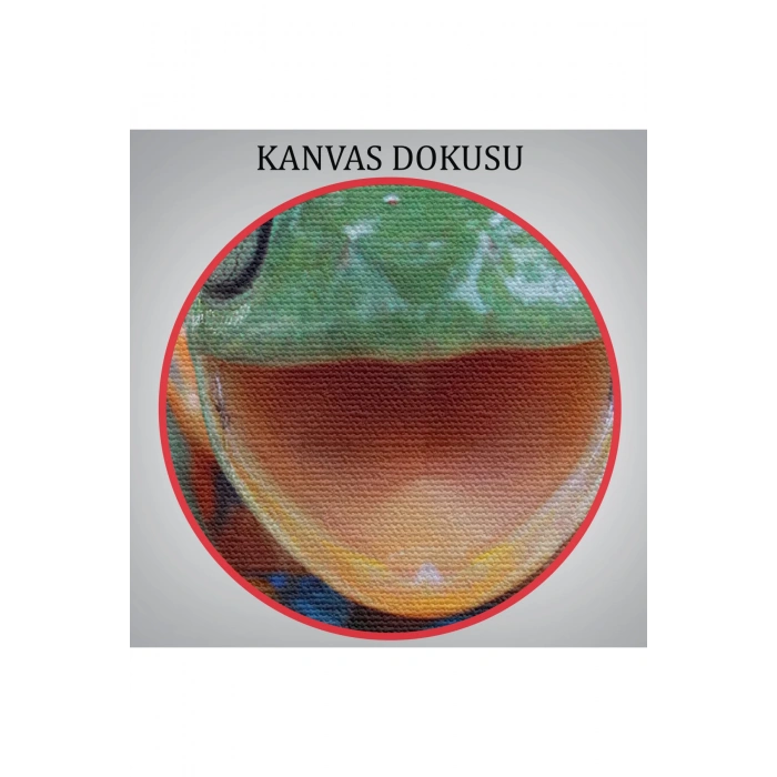 Renkli Gülen Kurbağa Dekoratif Kanvas Tablo 1149