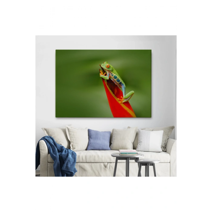 Renkli Kurbağa  Dekoratif Kanvas Tablo 1136