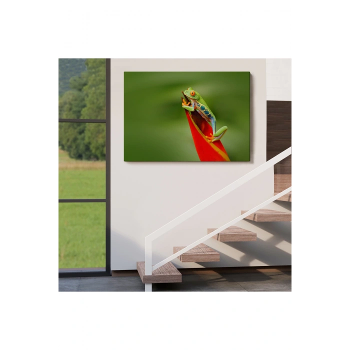 Renkli Kurbağa  Dekoratif Kanvas Tablo 1136