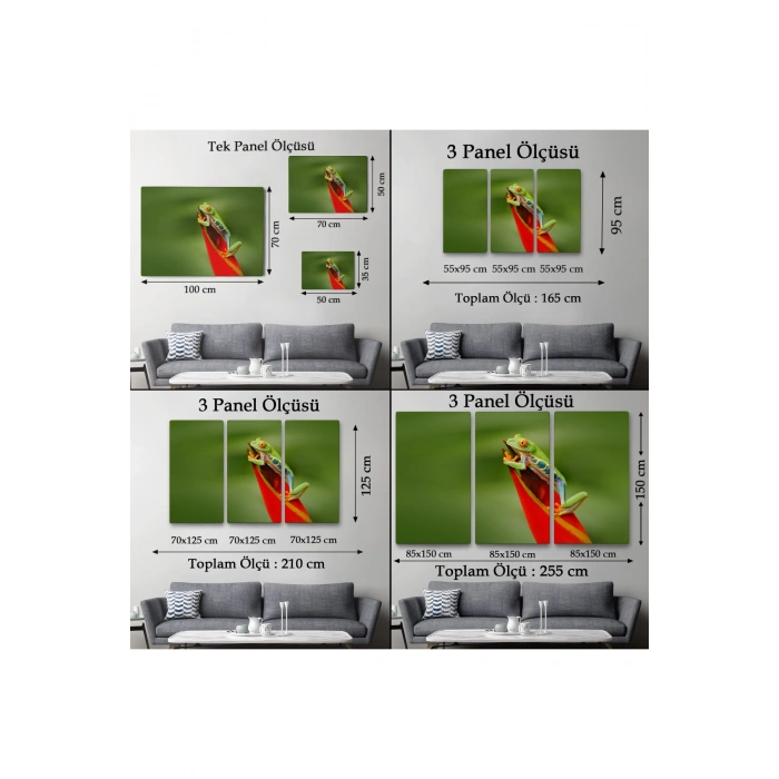 Renkli Kurbağa  Dekoratif Kanvas Tablo 1136