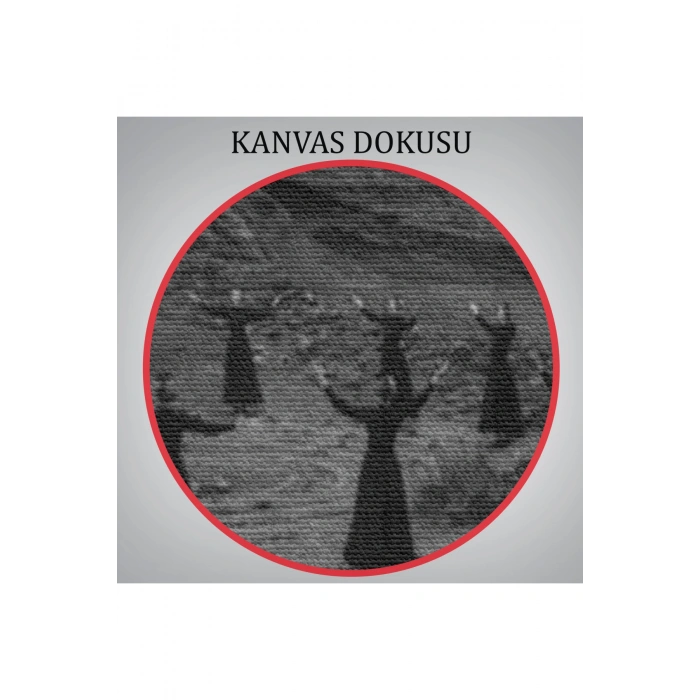 Rochester Cadılarının Pagan Ayini Tablosu-6578