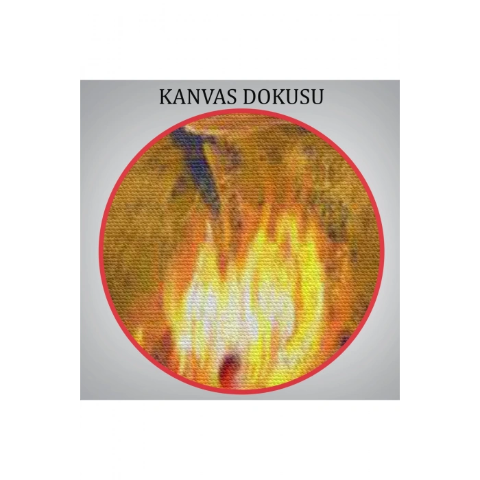 Şabat Ayini Yapan Cadıların Ateş Etrafındaki Dans Tablosu-6354