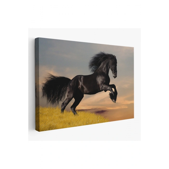 Şaha Kalkmış Siyah At Tablosu-6613