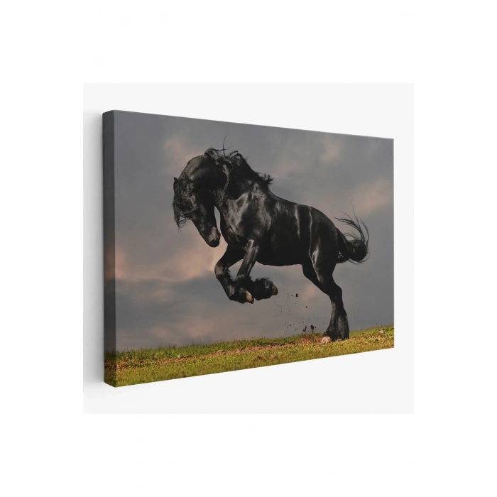 Şaha Kalkmış Siyah At Tablosu-6620