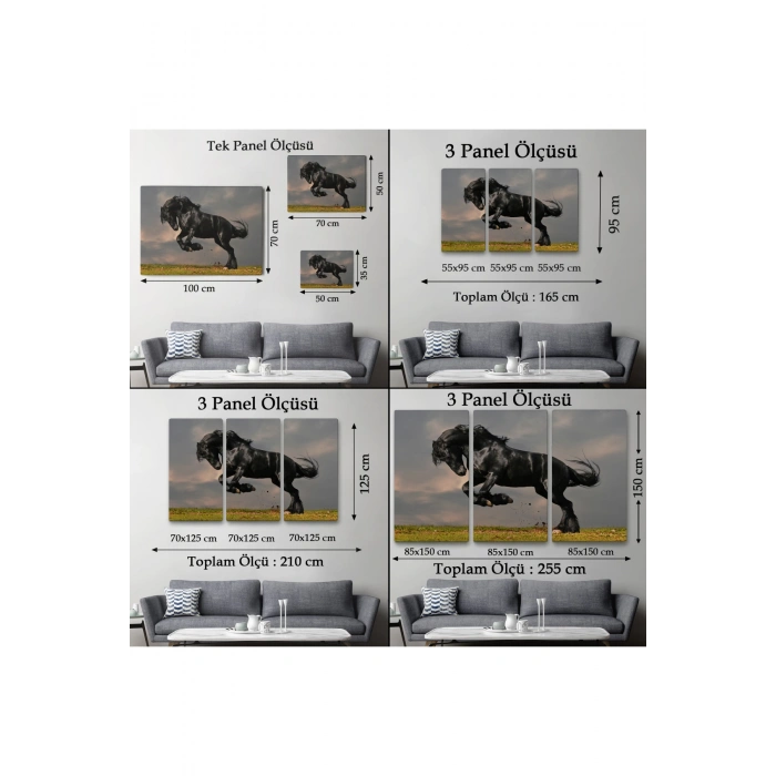 Şaha Kalkmış Siyah At Tablosu-6620