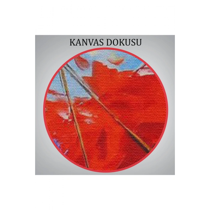 Salıncaktaki Kırmızı Elbiseli Kız Tablosu-6317