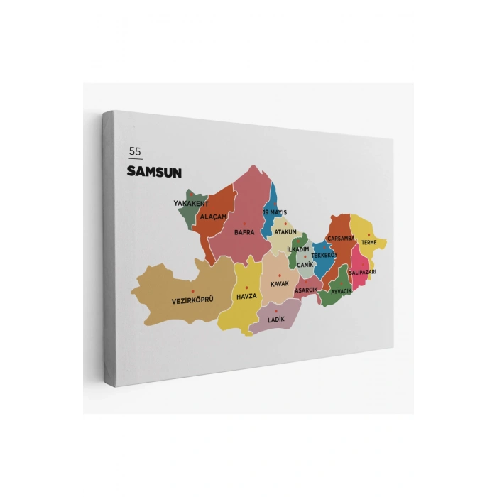 Samsun İli ve İlçeler Haritası  Dekoratif Kanvas Tablo 1446