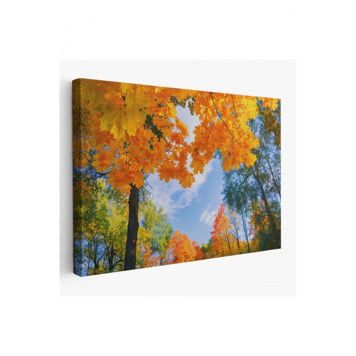 Sarı Yapraklı Sonbahar Manzarası Duvar Tablosu-1236