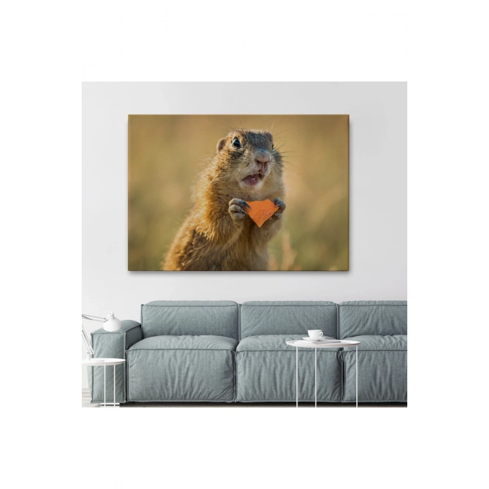 Şaşkın Sincap Dekoratif Kanvas Tablo 1158