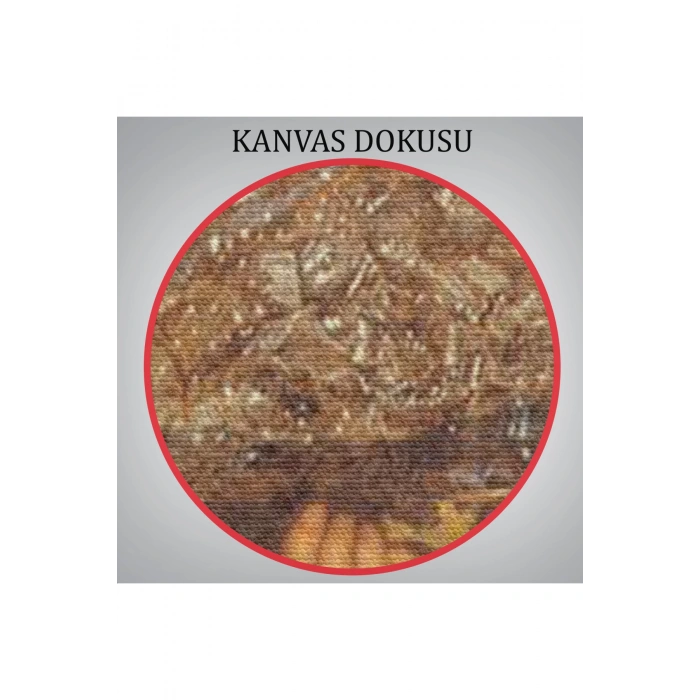 Shakespearein Opheliası Hamlet Dekoratif Duvar Tablosu-6319