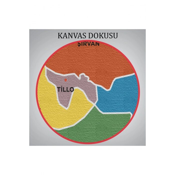 Siirt İli ve İlçeler Haritası  Dekoratif Kanvas Tablo 1449