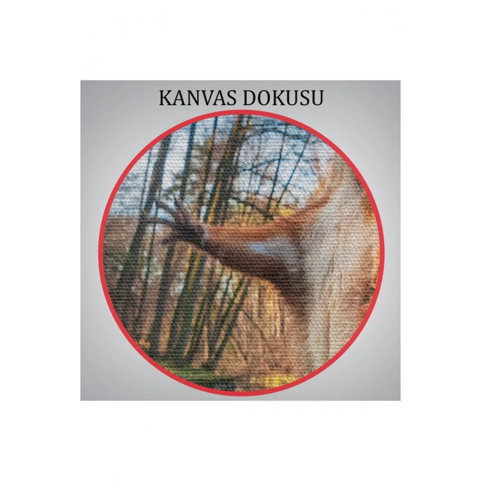 Sincap Dekoratif Kanvas Tablo 1178