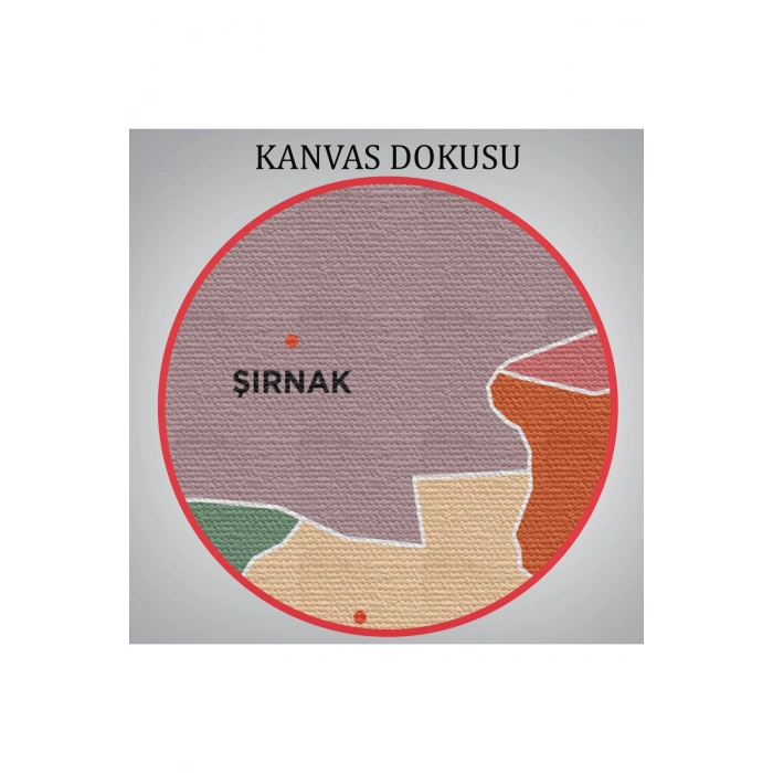 Şırnak İli ve İlçeler Haritası  Dekoratif Kanvas Tablo 1461