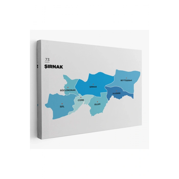 Şırnak İli ve İlçeler Haritası  Dekoratif Kanvas Tablo 1462