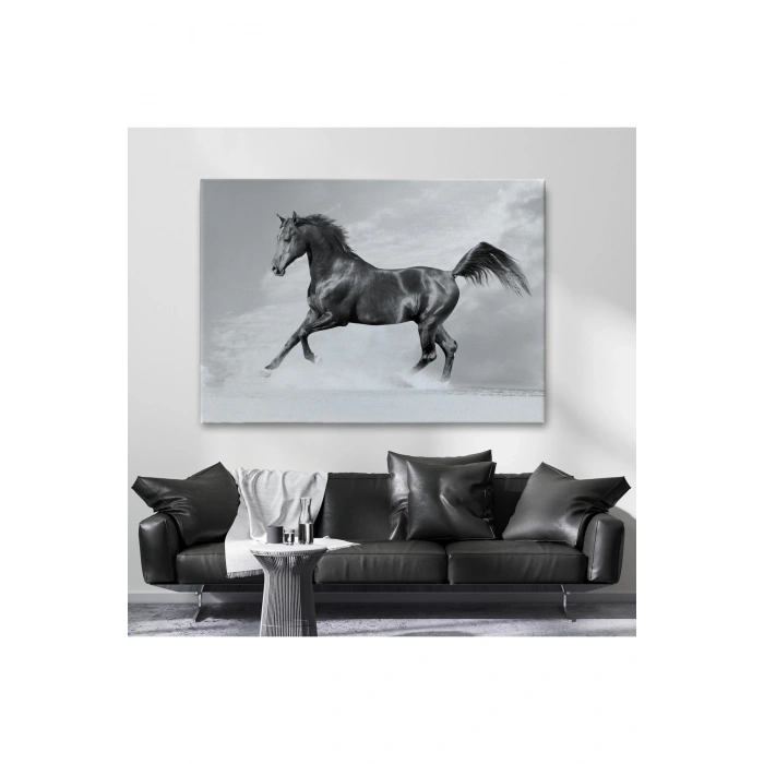 Siyah At Tablosu-6623