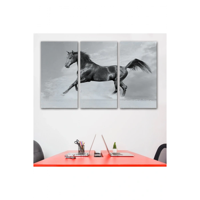 Siyah At Tablosu-6623