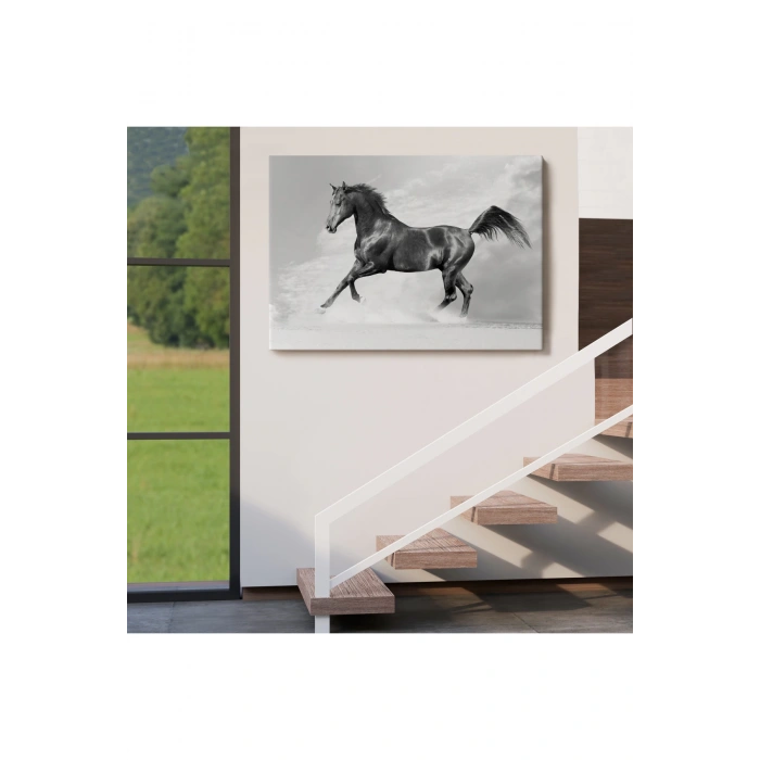 Siyah At Tablosu-6623