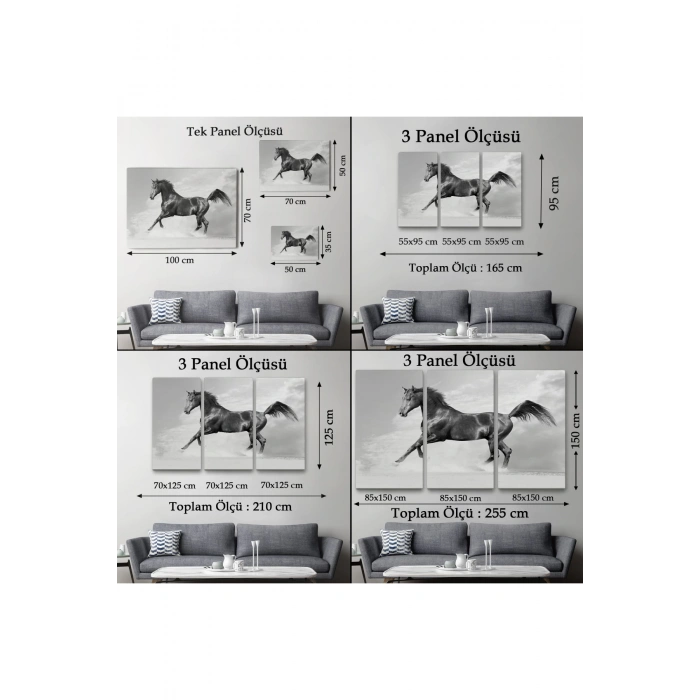 Siyah At Tablosu-6623