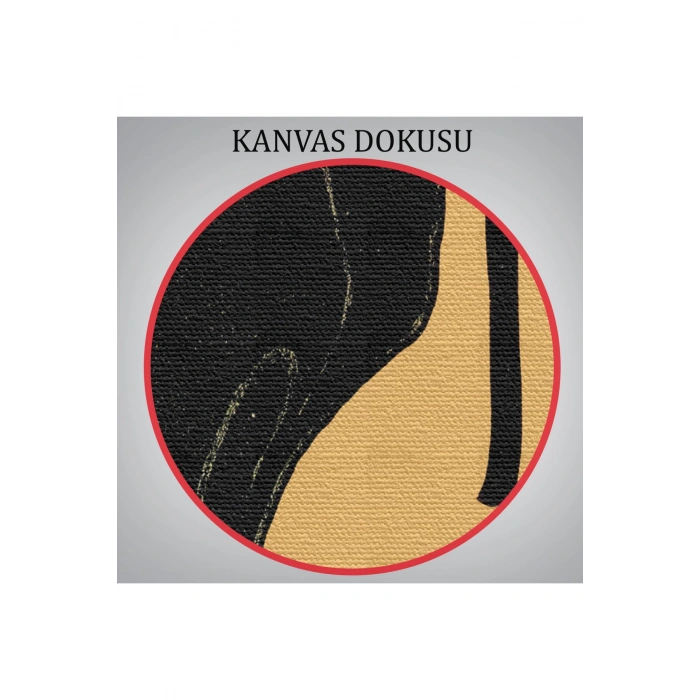 Siyah Kedi Tablosu - Le Chat Noir Theophile Steinlen-6431