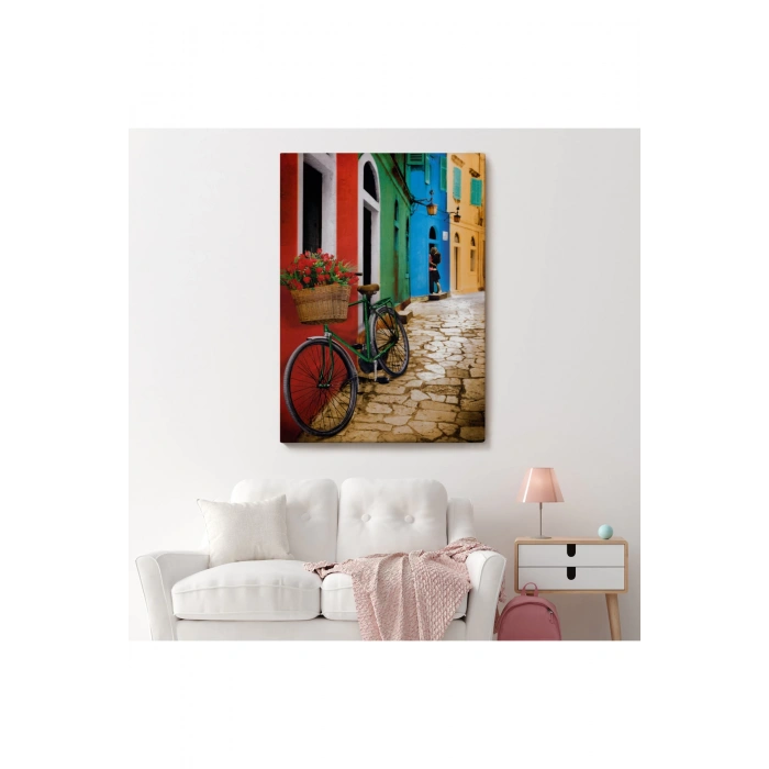 Sokaktaki Çiçekli Bisiklet Duvar Tablosu-6453